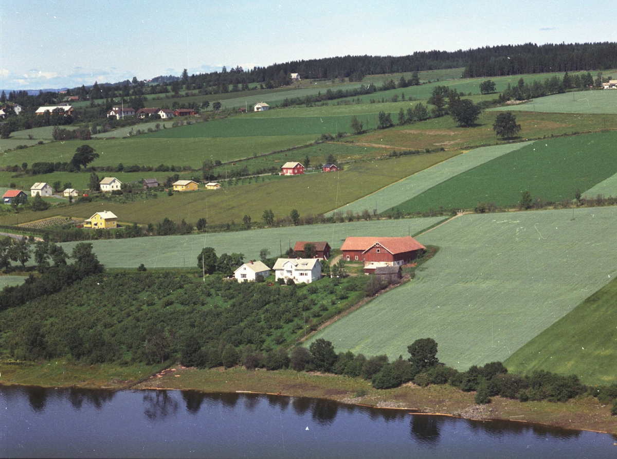 Flyfoto, gardsbruk, frukttrær, Frydenlund, Nes, Hedmark.