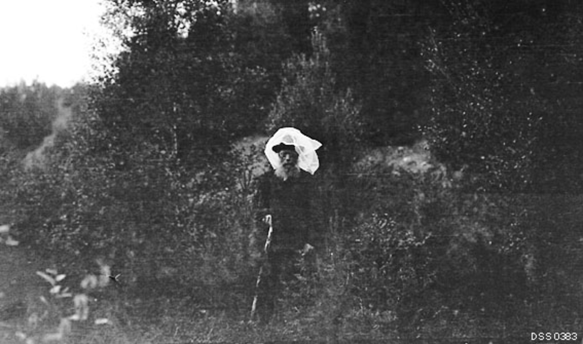 Skogfogd Peder Gjetmundsen (1855-1929) fotografert i skogen sommeren 1915, altså på et tidspunkt da denne skogfunksjonæren hadde nådd en alder av 60 år.  Han var kledd i mørk dress, hadde hatt på hodet, og over hatten var det trukket et transparent. kvitt tøystykke.   Da fotografiet ble tatt var tøystykket opptrukket, men sannsynligvis var dette en form for myggnetting som Gjetmundsen brukte for å beskytte seg mot insektplagen sommerstid.  I den ene handa holdt han en spaserstokk.  Bildet er tatt nederst i en bakkeskrent der det vokste småbjørk.  Peder [Per] Gjetmundsen var født i Hafslo i Sogn.  Han arbeidet som skogoppsynsbetjent i Talvik, fra 1903 som skogfogd i Kvænangen.