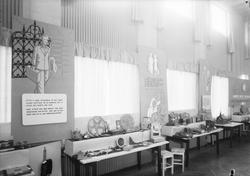 Tuberkuløses Hjelpeorganisasjons utstilling i Folkets Hus