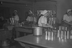 Hjelmeland Canning A/S i Kjølelageret