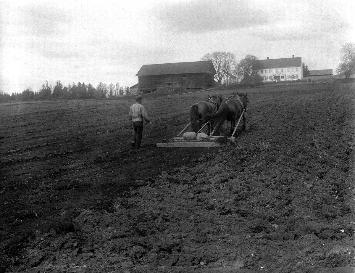 Møystad gård, Vang H. Piggslådd, hesteredskap. Jordbruk, åker, hester,tospann, slådding.