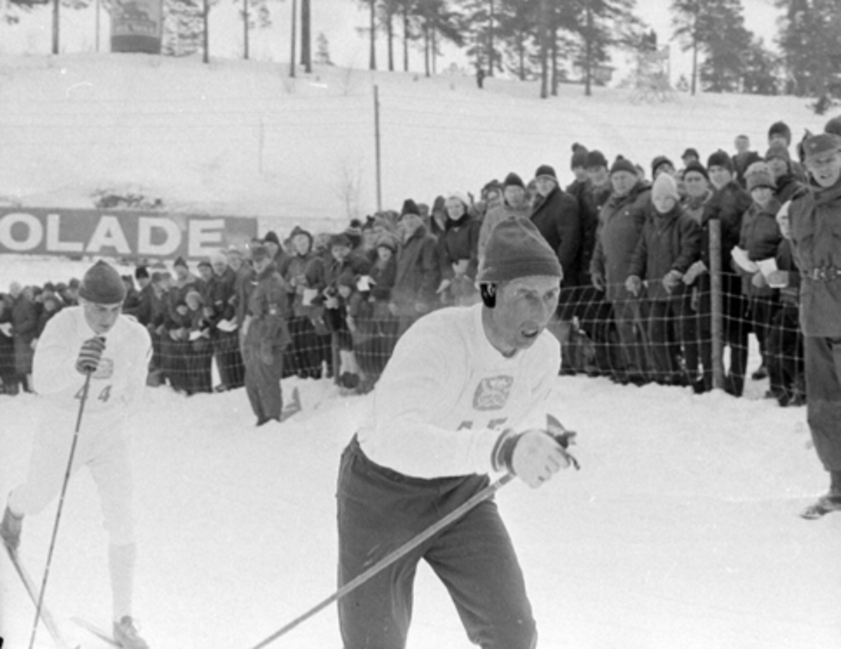 Harald Grønningen, ski, langrenn.
