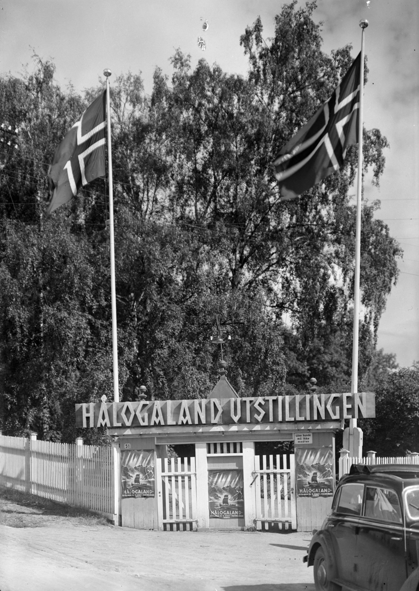 Hålogalandutstillingen under 2. verdenskrig på Paviljongen i Hamar Park. Utstillingen var en vandrerutstilling om Nord-Norge. Harald Damsleth, en reklametegner som gjorde en betydelig innsats for propagandaapparatet til Nasjonal Samling, var hovedmannen bak utstillingen. 
Se også NO-06431-05. 