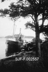 Dampbåten "Farmanden" fra Drammen, fotografert ved kaia til 