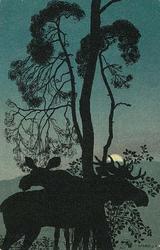 Overrekkingskort [Overrekkingskort]