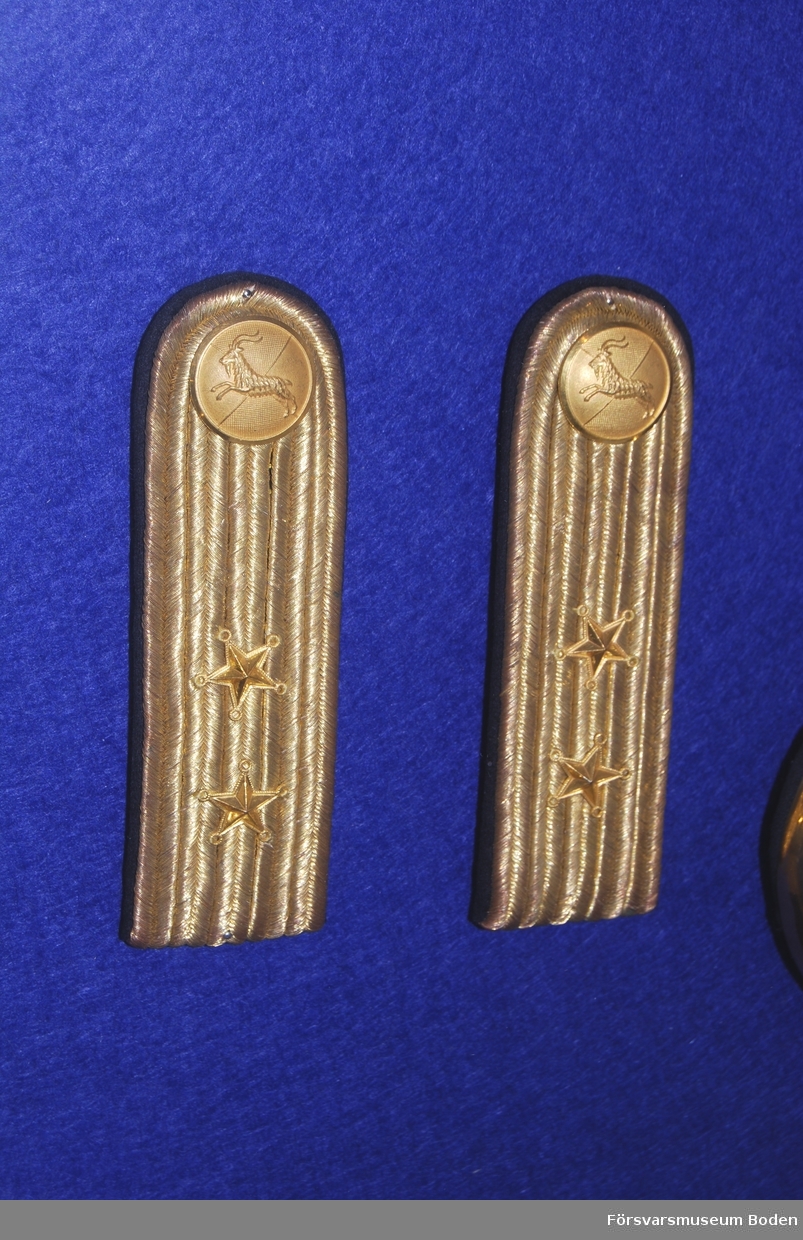 1 par axelklaffar med raka beläggningssnören i guld på matta av mörkblått kläde. Två metallstjärnor i guld för löjnant, vilka då de är i samma färg som beläggningssnöret betecknar officer i reserven. Upptill regementets knapp i guld.