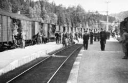 Tyskere i godsvogner på hjemreise fra Rjukan i 1945; vognene