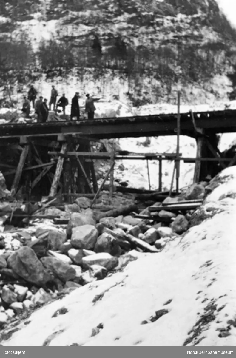 Utrasing på Vossebanen februar 1928 : Træsnesset km 419,5
