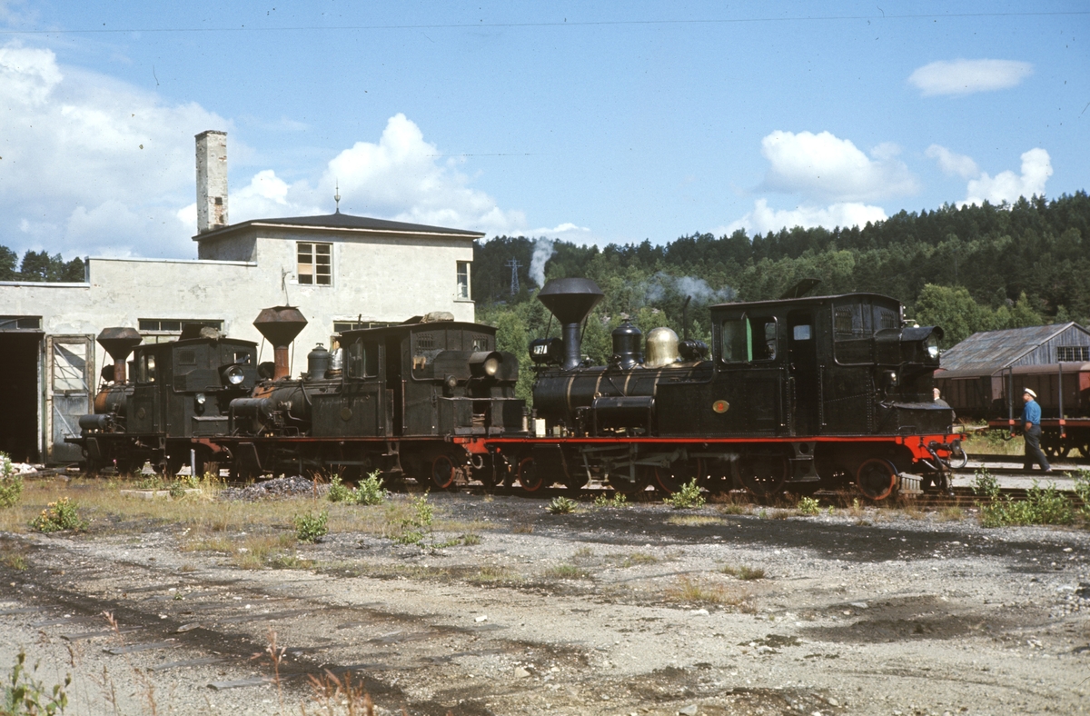 Setesdalsbanens damplokomotiver oppstilt for fotografering