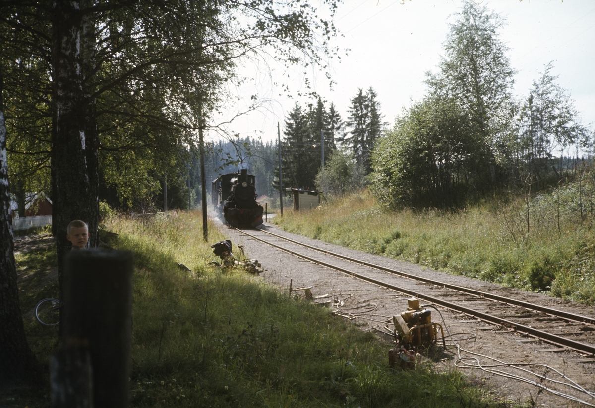 Damplokomotiv type 27a nr. 296 med godstog til Skreia. Vedlikeholdsarbeider på sporet pågår