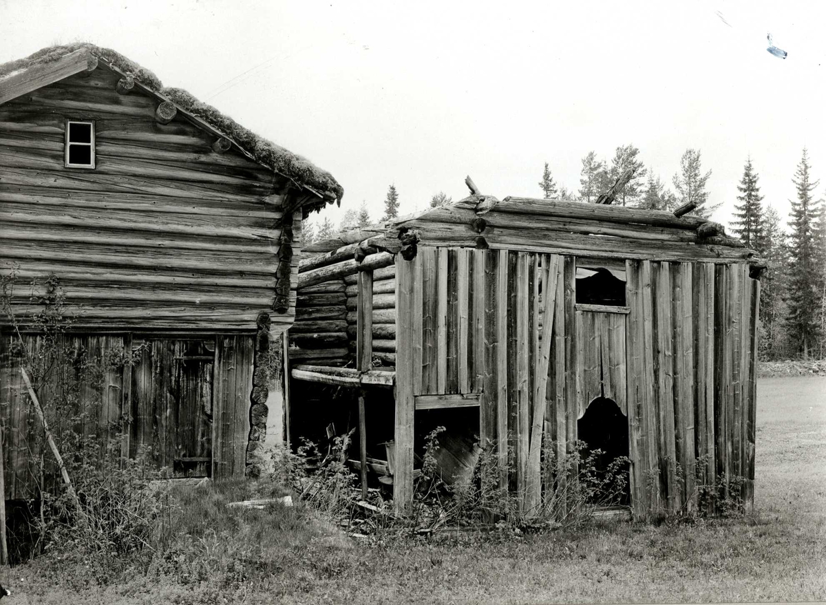 Lille Nøtåsen, Elverum, Sør-Østerdal, Hedmark i 1920-årene. Tun med bur til venstre og bu til høyre.