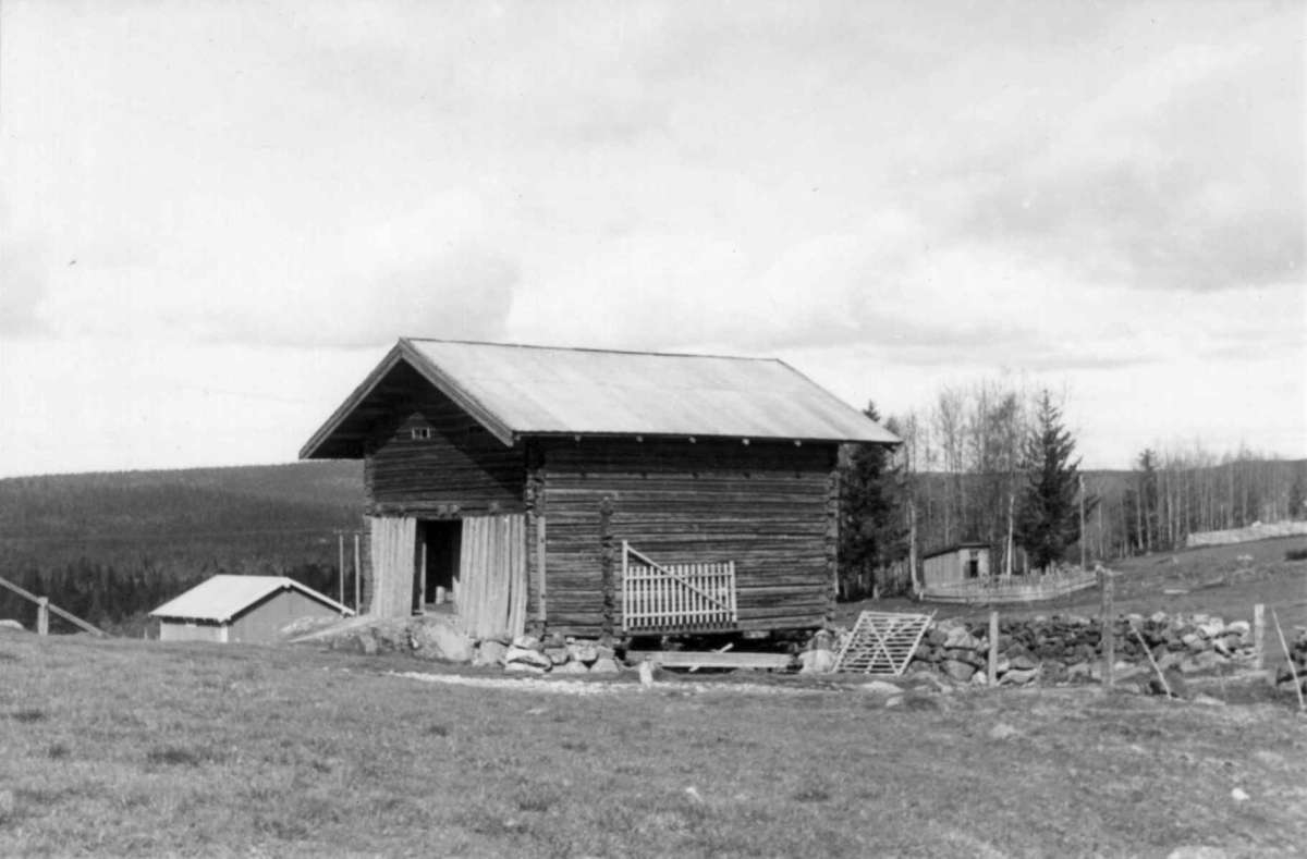 Tørberget, Gleditsch, Trysil, Hedmark 1950.