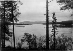 Oversiktsbilde over Vaggatemsjøen, Pasvikdalen, Sør-Varanger