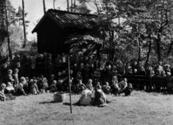 Saueklipping med publikum i 1954.