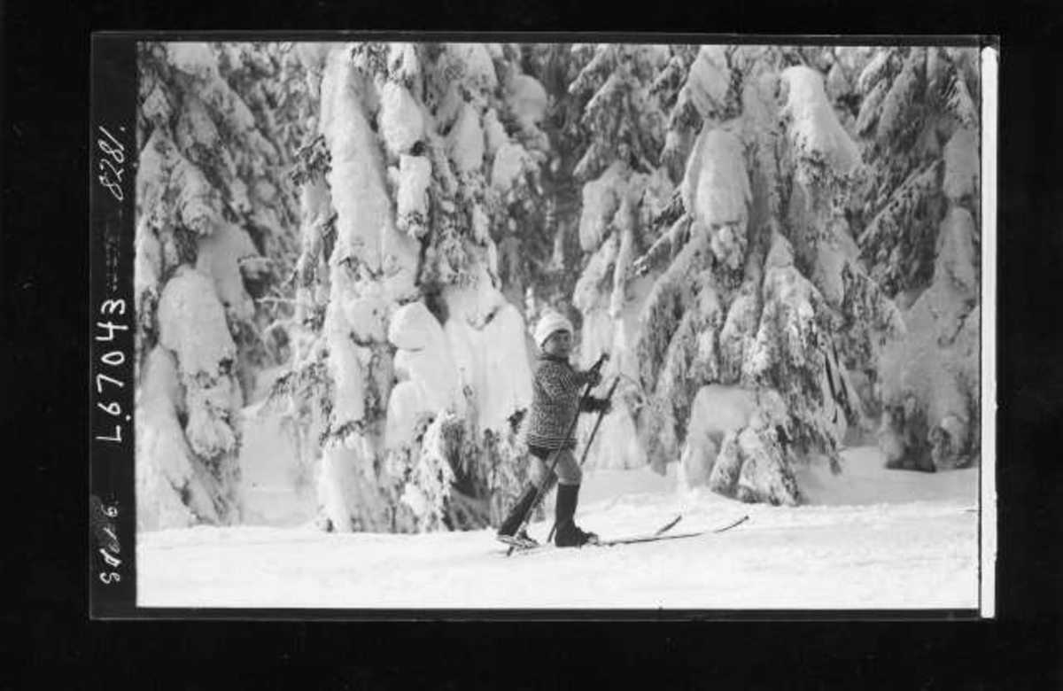 Vintermotiv. Ant. Nordmarka. Et barn på ski ute i skogen.