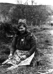 En kvinne med finskavet vidjebark til skinnbearbeing. Masi 1