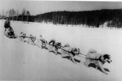 To norske soldater trener på å kjøre med skikjelker trukket 