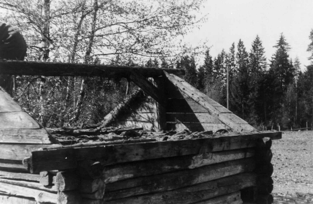 Vilberg, Ullensaker, Akershus 1946. Grisehus under riving. Nå på Norsk Folkemuseum.