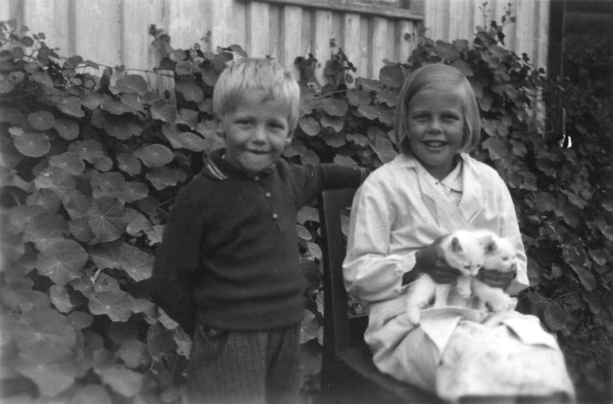 Barna til Fru Olav Ramse. Jenta sitter på en stol med to kattunger på fanget. Tovdal 1936.