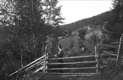 Eggedal 1941. En gård i nærheten av Ligardshaugen. Antakelig