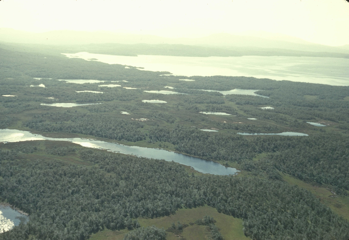 Flyfoto. Oversiktsbilde - Landskap ved Tydal i Sør-Trøndelag. Rien fra nordøst. Landskapet øst for Rien opp mot Knuvlan med blant annet Lakstjønna, Skallbekktjønnan.