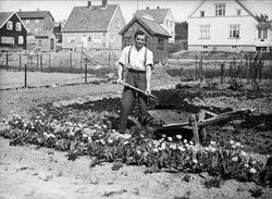 Fritjof Arentz arbeider i en hage på Godlia.