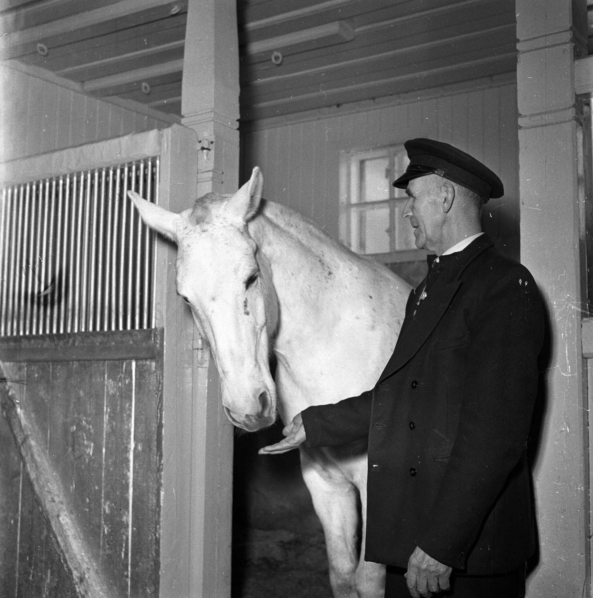 Bogstad gård, Oslo, våren 1957. Mann med hest.
