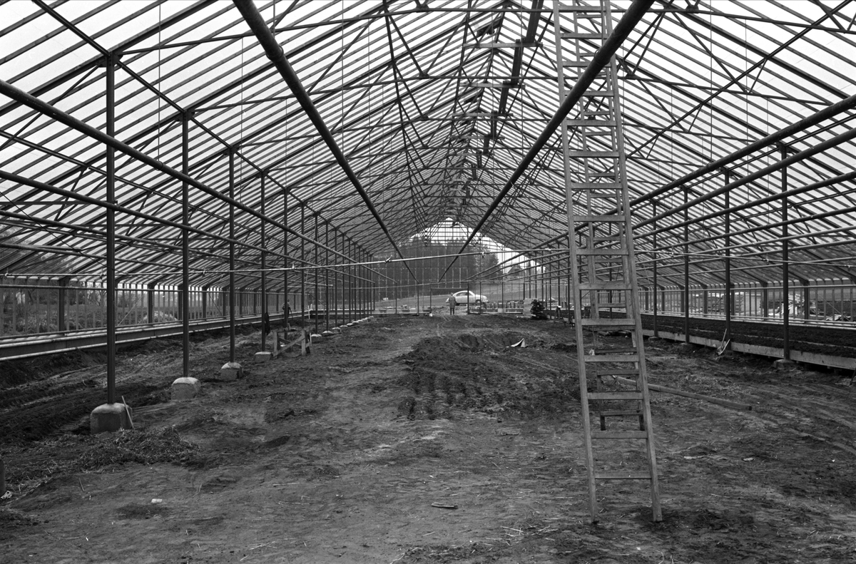 Fra Rygge 13.05.1961. Bygging av en hall.