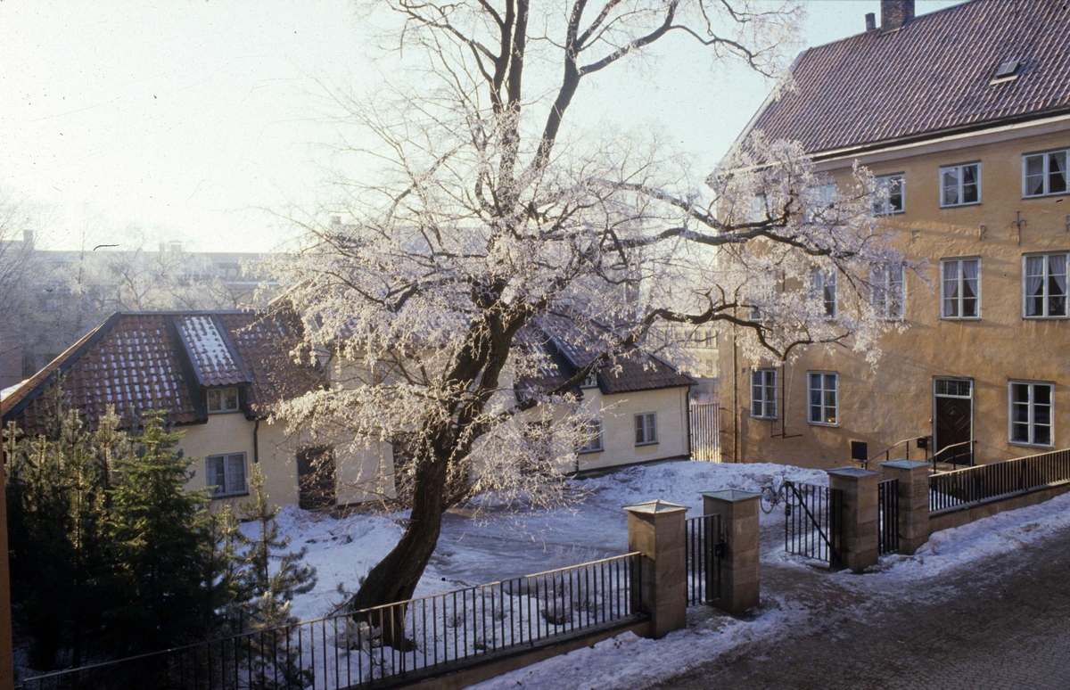 F d uthusbyggnad, kvarteret Domen, Valvgatan, Uppsala