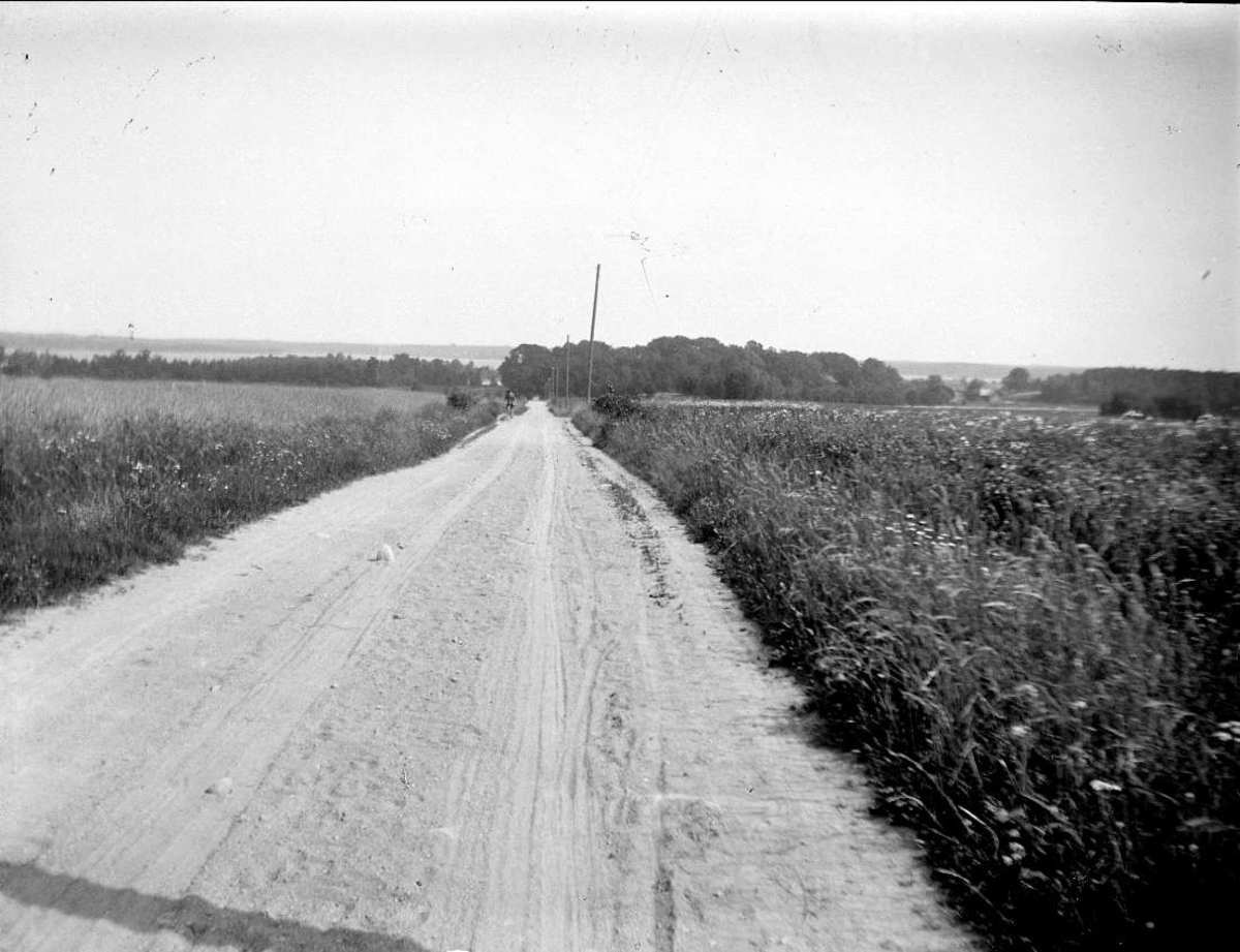Väg vid Mellingeholm, Frötuna socken, Uppland 1927