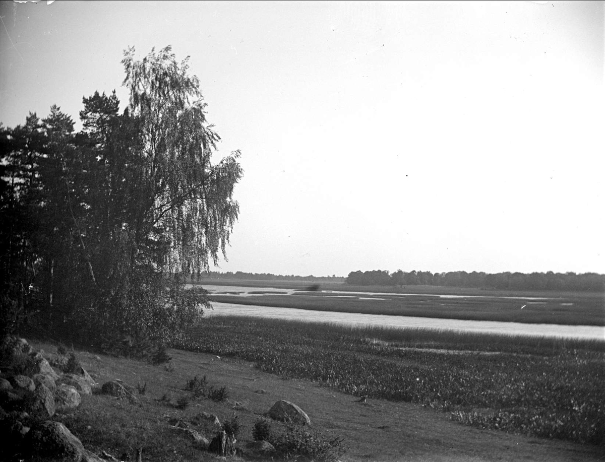 Landskapsvy med Sagån, Teda socken, Uppland 1914