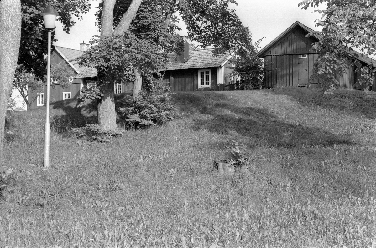 Vy från västsydväst över Vattholma 5:8, Vattholma, Lena socken, Uppland 1978