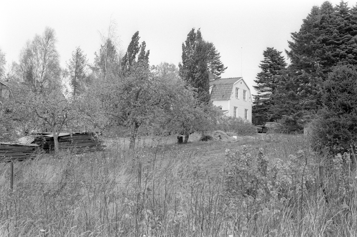 Bostadshus, Björken, Ullbolsta 6:5, Ullbolsta, Jumkil socken, Uppland 1983