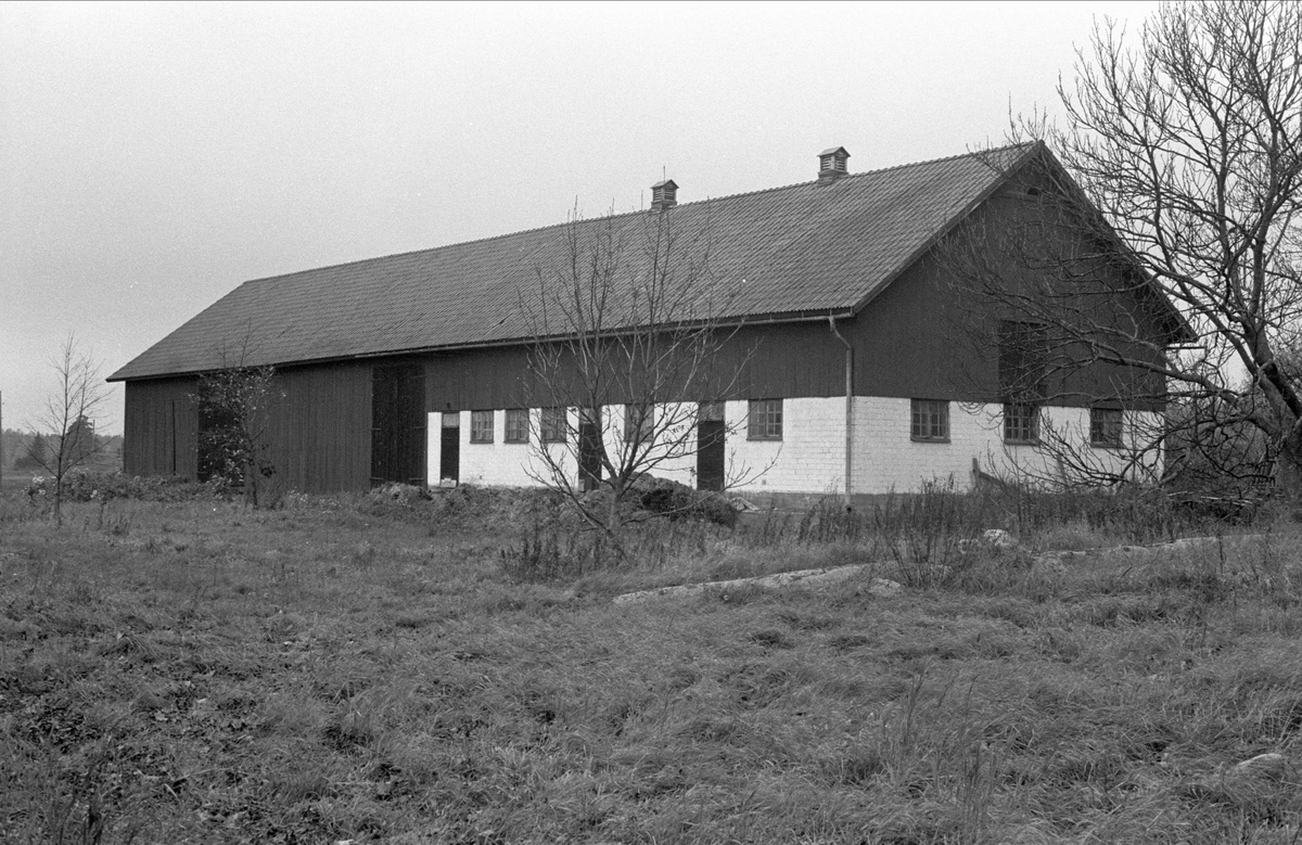 Lada och ladugård, Hässle 3:1, Dalby socken, Uppland 1984