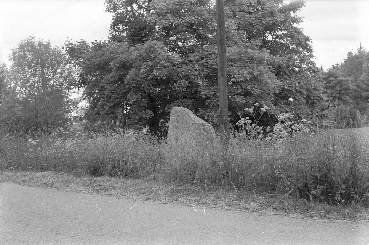 Runstenen vid gamla Salavägen i Västerby, Läby socken, Uppland 1975