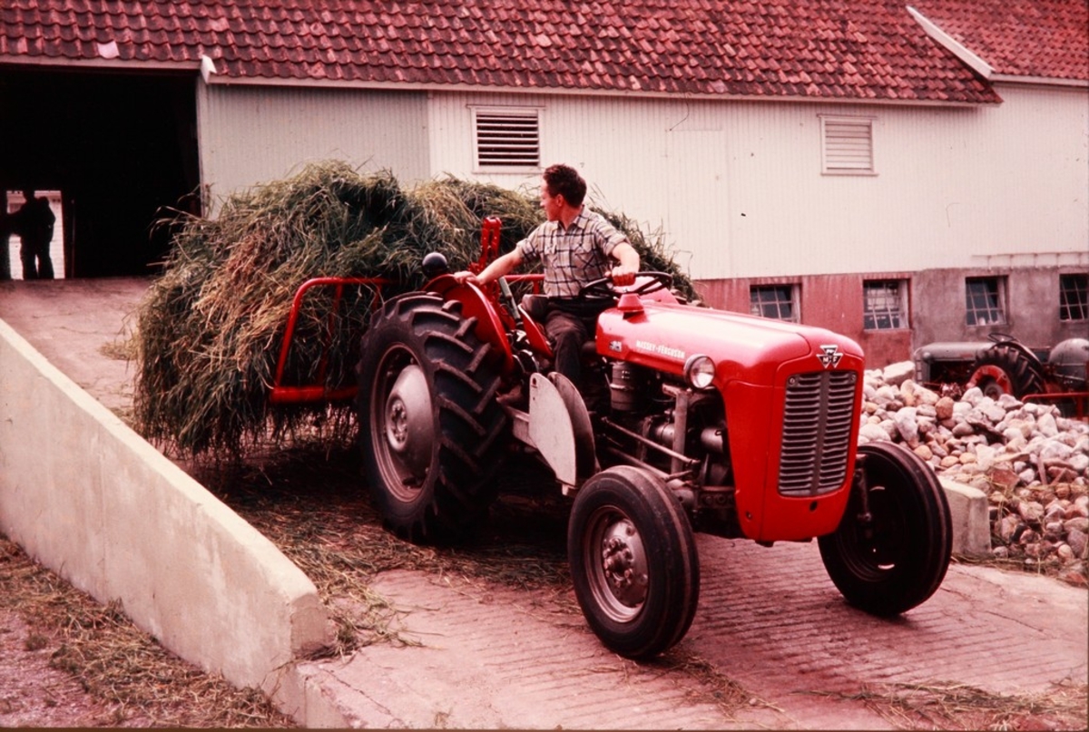 Innkjøring av silogras på løa med silosvans bakmontert på Massey-Ferguson-traktor hos Odd Braut på Horpestad, sjåføren er Egil Braut