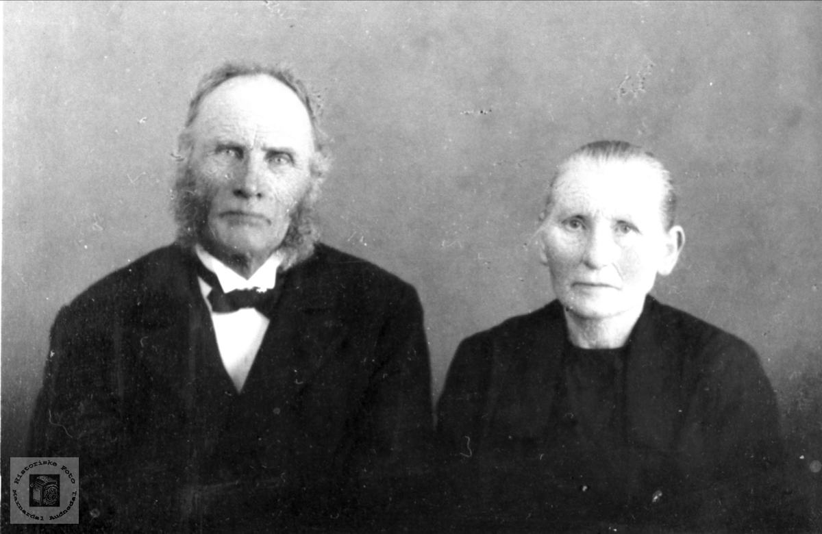 Ekteparet Tarjerd og Ole Midtbø, Bjelland.