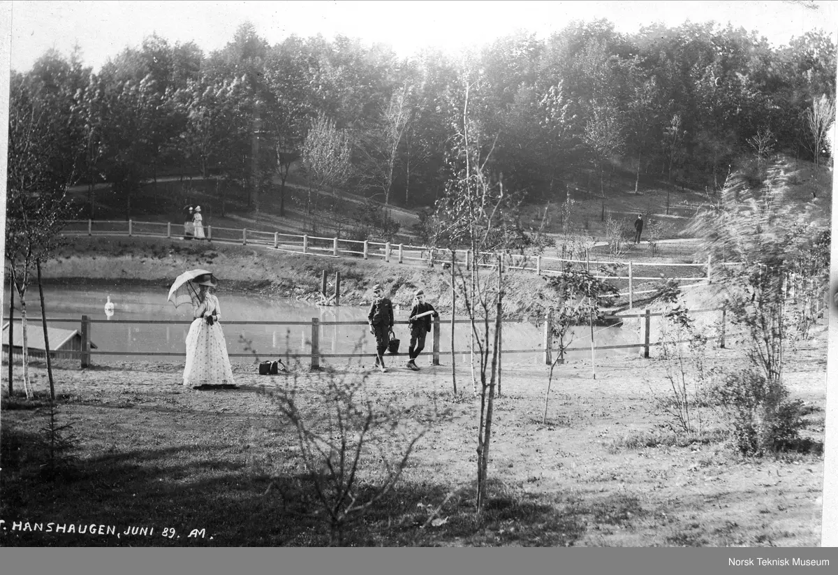 St. Hanshaugen, juni 1889.