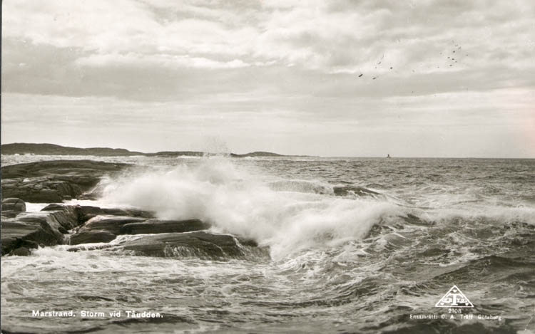 Tryckt text på kortet: "Marstrand. Storm vid Tåudden."