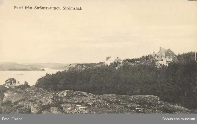 Tryckt text på kortet: "Parti från Strömsvattnet. Strömstad."
"Förlag: Frida Dahlgren, Garn- & Kortvaruaffär."