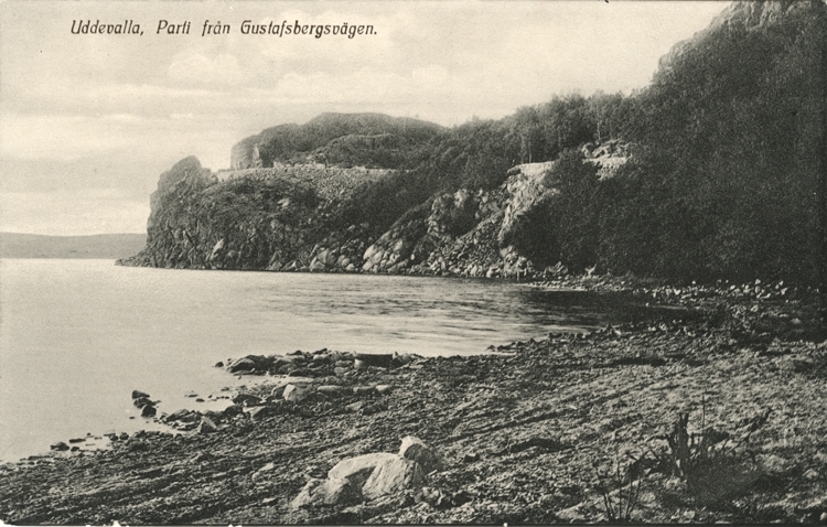 Tryckt text på vykortets framsida: "Uddevalla Från Gustafsberg."
