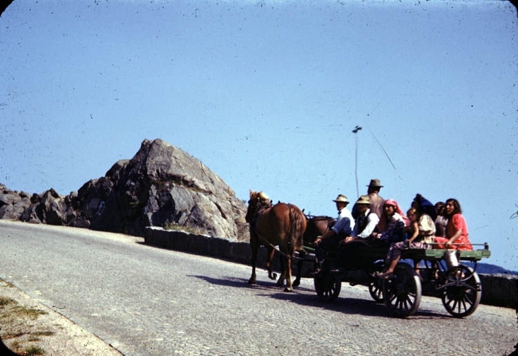 Män, kvinnor och barn sittande på en vagn dragen av två hästar på vägen söderut mot Gustafsberg, Uddevalla