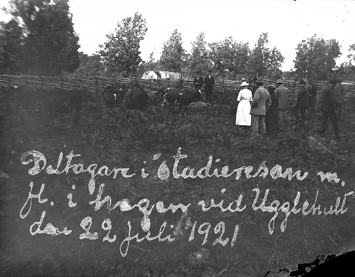 Enligt text på fotot: "Deltagare i studieresan m. fl. i hagen vid Ugglehult den 22 juli 1922".