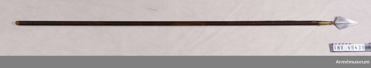 Grupp D I.
Sponton, s k halvpik. För officer vid Kronobergs regemente, 1700-1791.
Ursprunglig längd 200 cm.