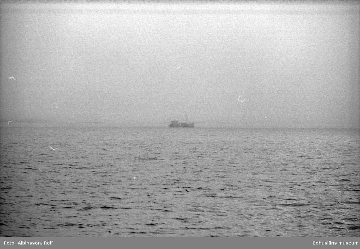 Enligt fotografens noteringar: " På babordssidan, en trålare skymtar i dimman."

Fototid: 1996-03-06.