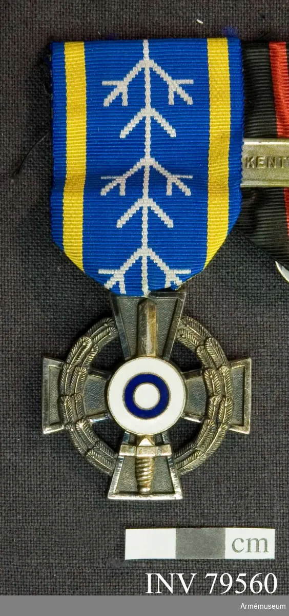 Grupp M II.
Medalj, Frivilligkorset för Förbundet Svenska Finlandsfrivilliga.