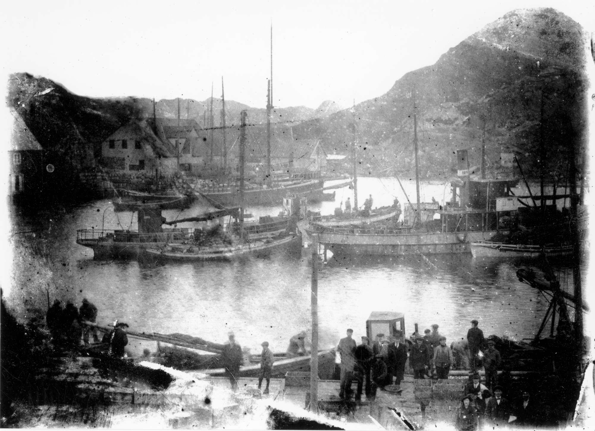 Sildefiskere ved Lindøya