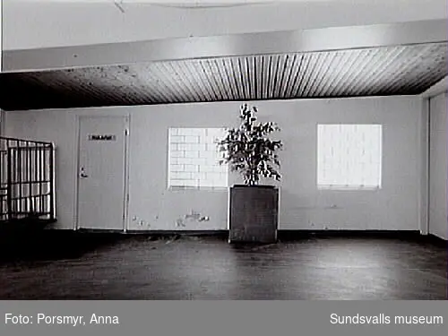 Dokumentation av f.d. Sidsjöns sjukhus, Sundsvall inför puplikation och utställning, producerade 1993.