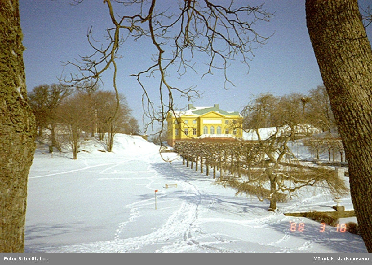 Södra parken vintertid vid Gunnebo slott, mars 1988.