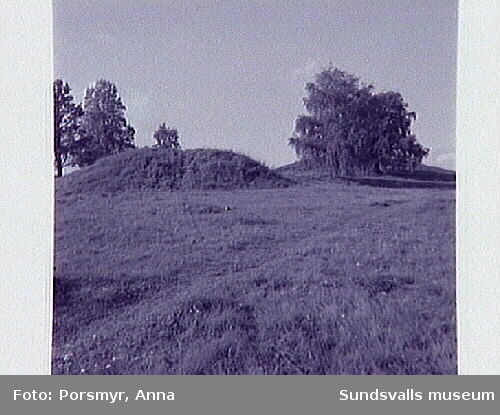 Högoms gravfält , väster om Sundsvall.